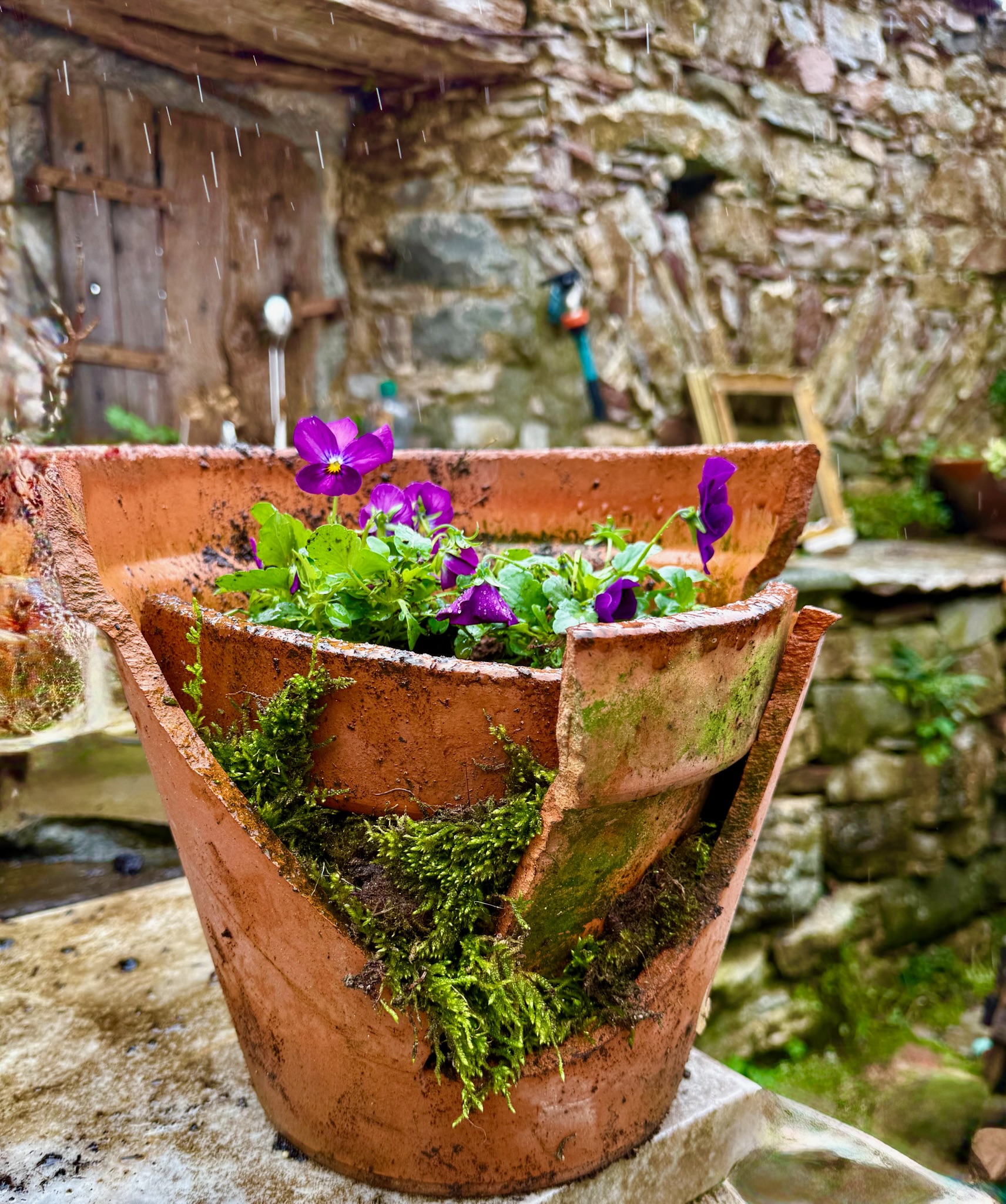 B&B Viandanti Artisti e Sognatori - Camporaghena, Lunigiana