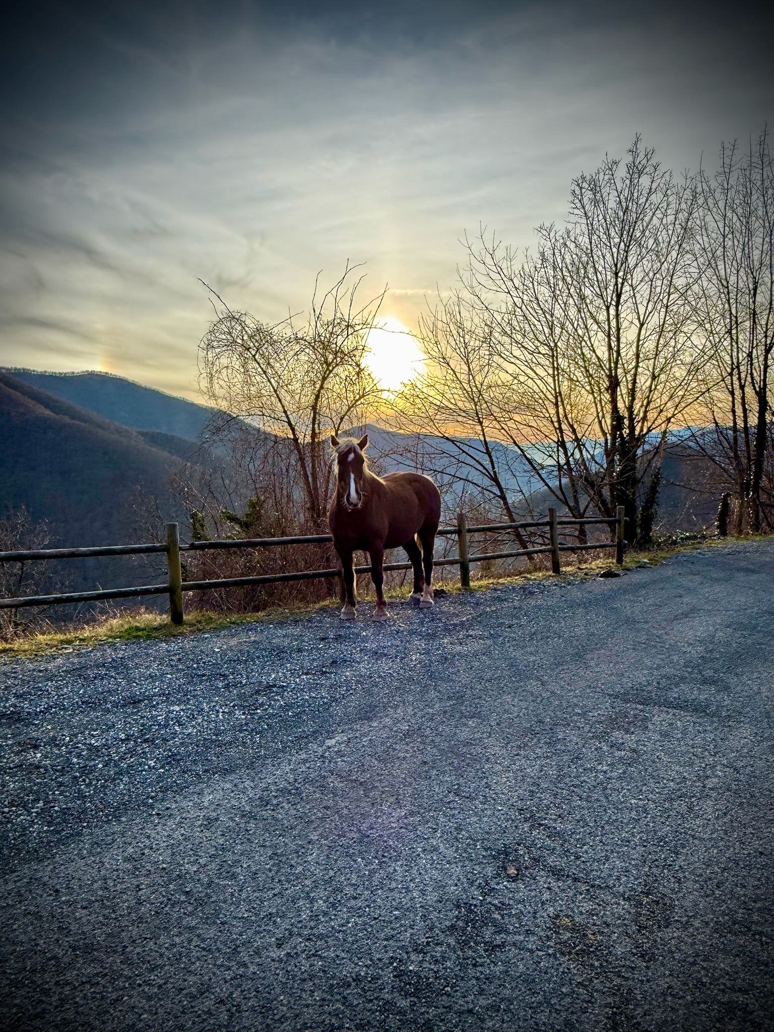 B&B Viandanti Artisti e Sognatori - Camporaghena, Lunigiana