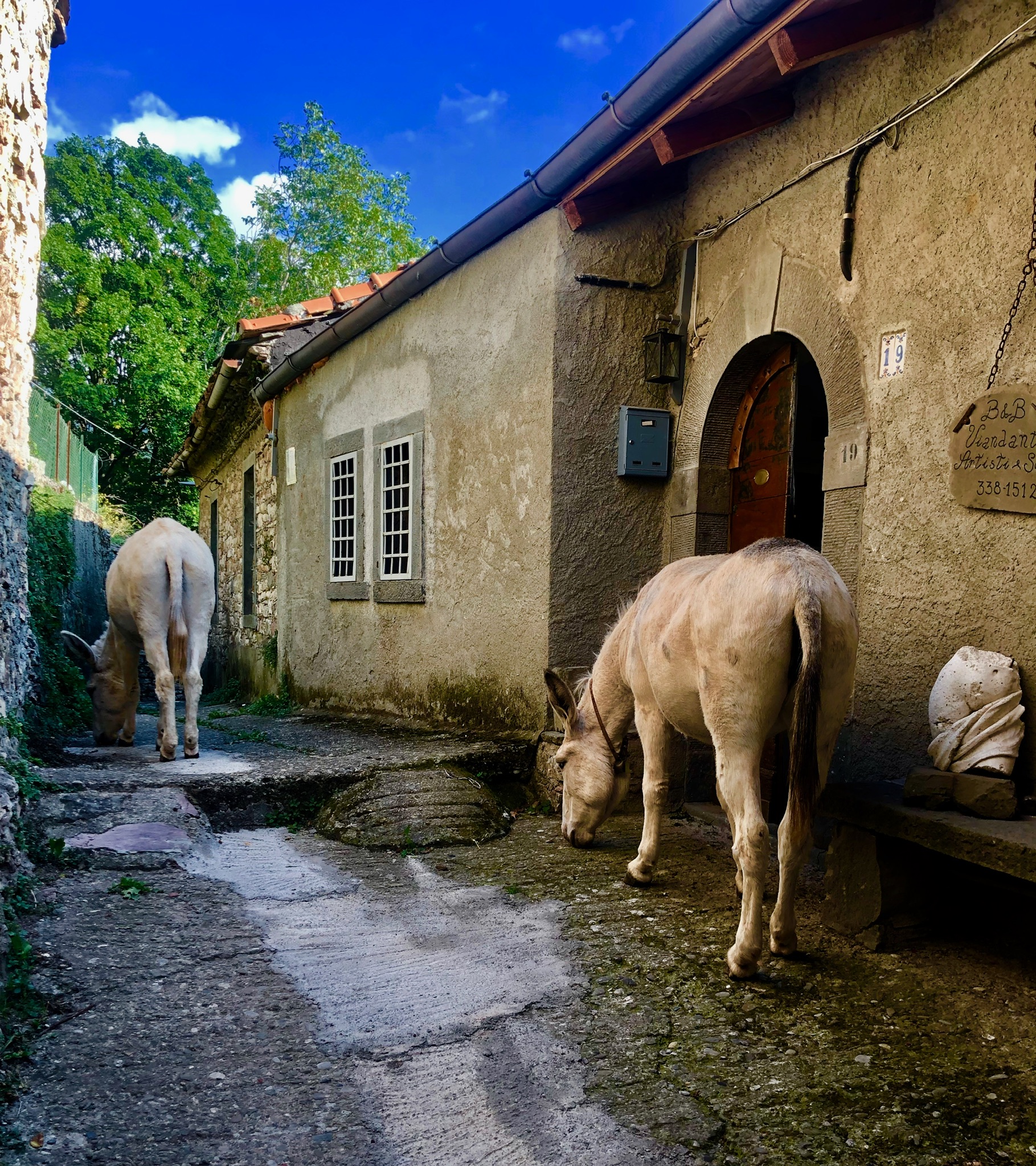 B&B Viandanti Artisti e Sognatori - Camporaghena, Lunigiana