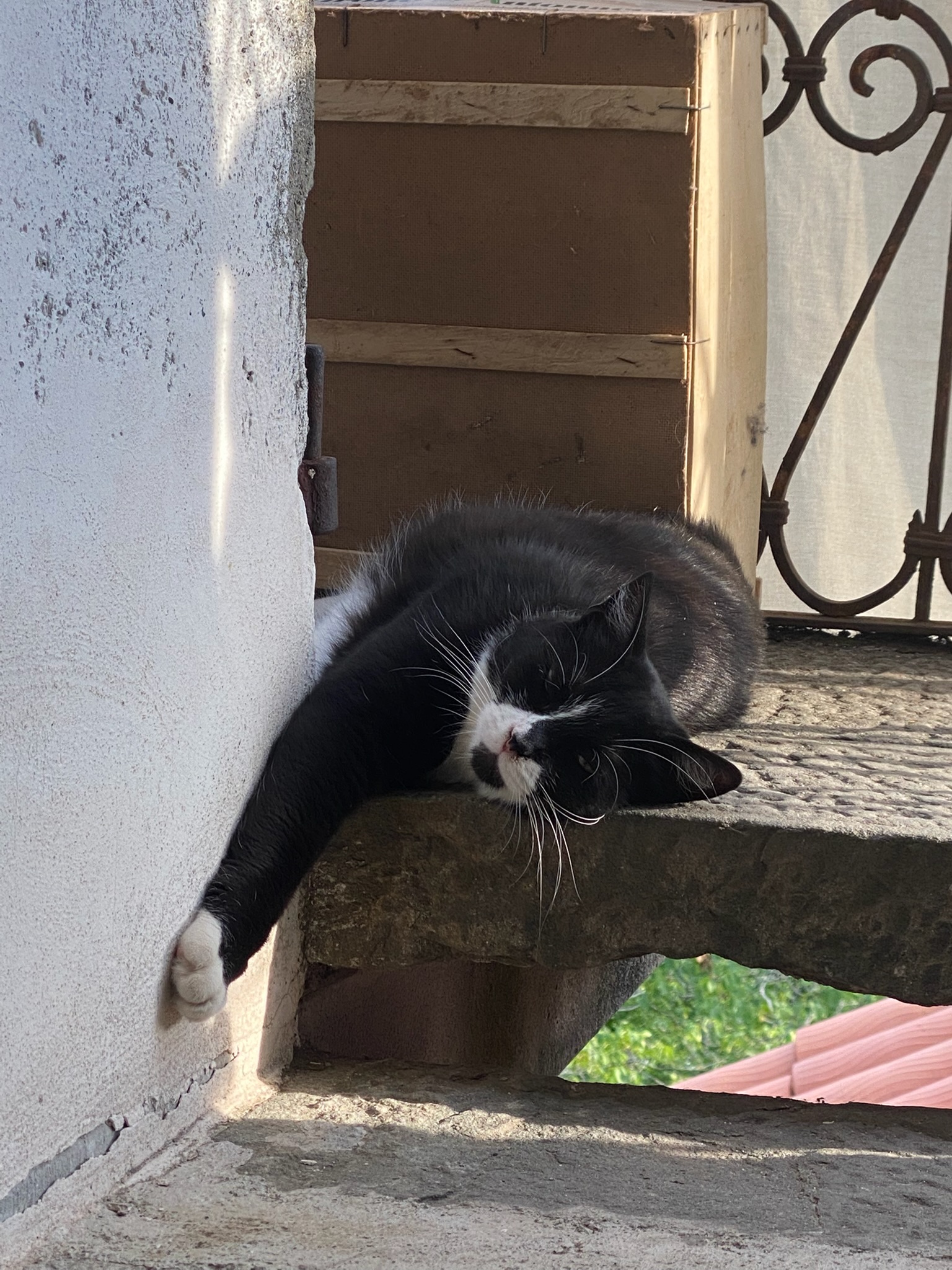 B&B Viandanti Artisti e Sognatori - Camporaghena, Lunigiana