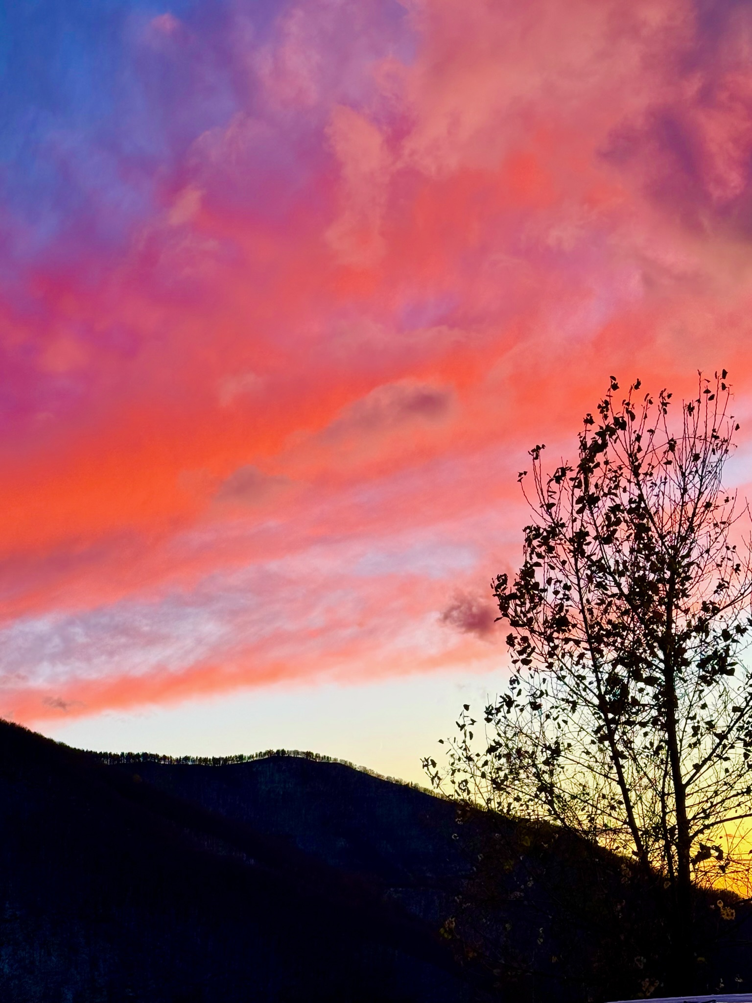 B&B Viandanti Artisti e Sognatori - Camporaghena, Lunigiana